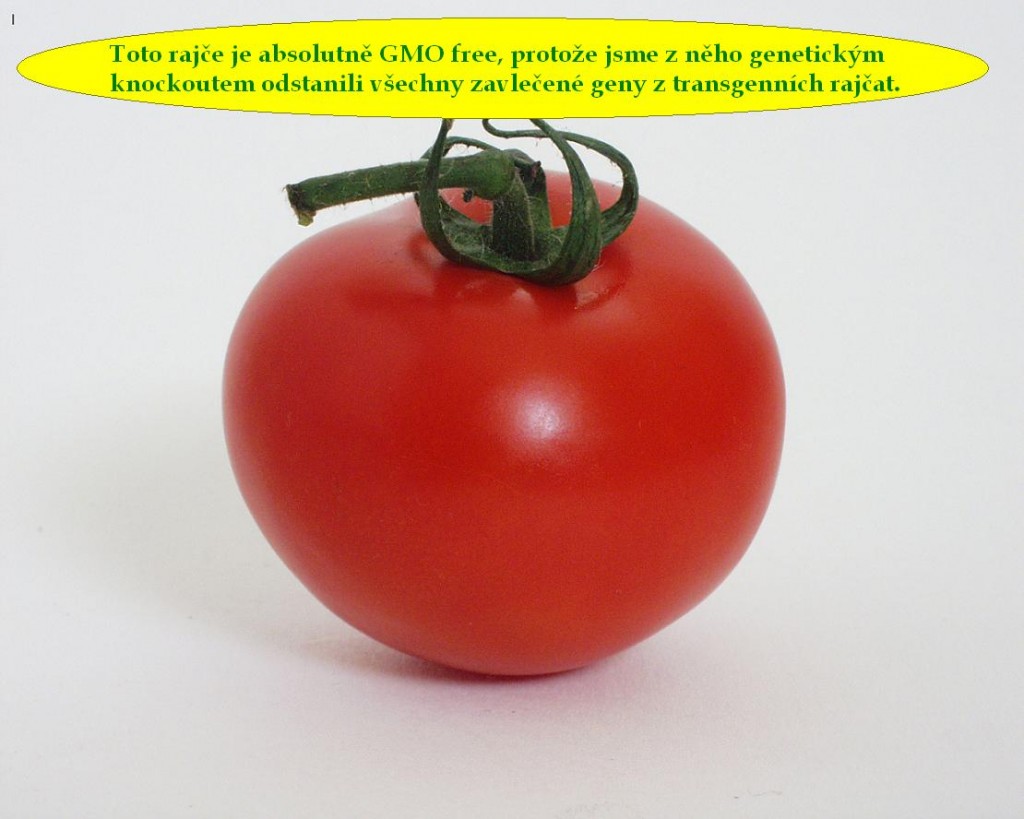tomato21-1024x819