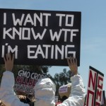GMO-protester-via-Shutterstock-615x345-150x150