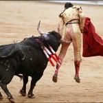 bull-fighting-sports-injuries-matador-gored-in-butt-150x150