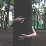 tree-hug-150x150